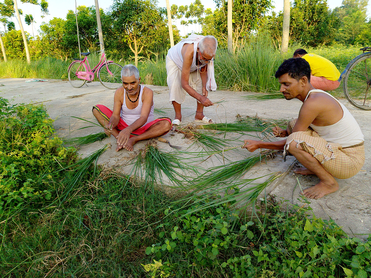 आज कुशे औँसी, पितृ सम्मान दिवस