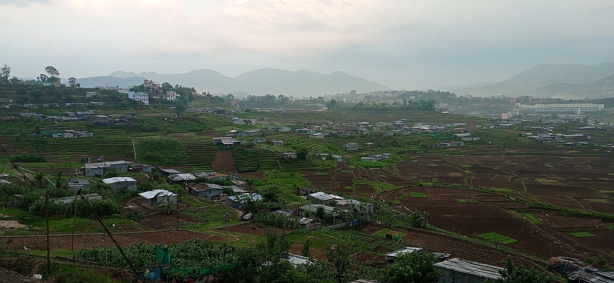 आज तीन प्रदेशमा भारी वर्षा