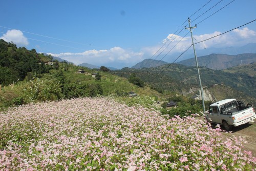 म्याग्दीका ६ सय घरमा विद्युत्